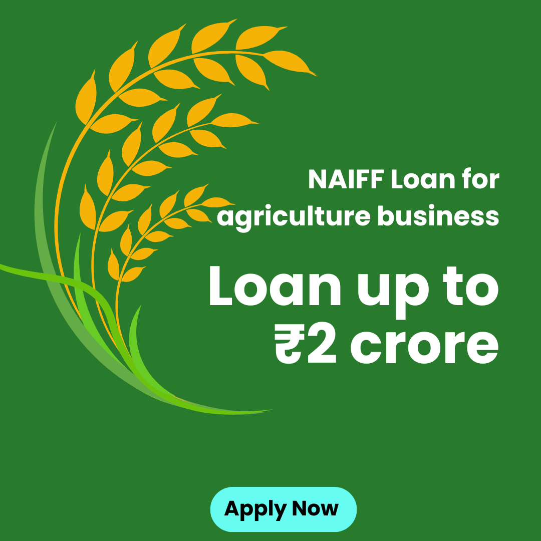 NAIFF LOAN